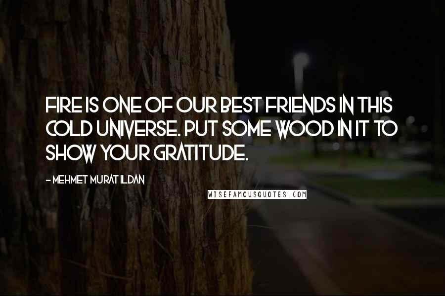 Mehmet Murat Ildan Quotes: Fire is one of our best friends in this cold universe. Put some wood in it to show your gratitude.