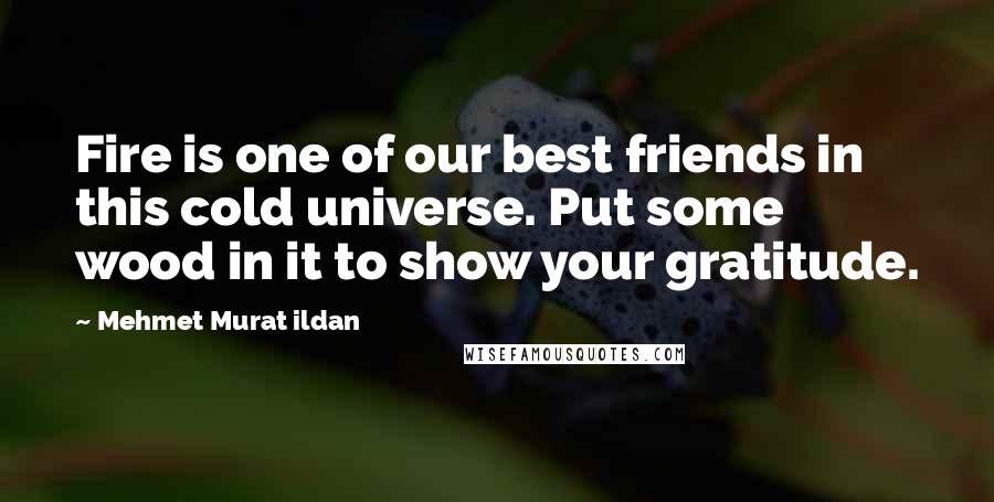 Mehmet Murat Ildan Quotes: Fire is one of our best friends in this cold universe. Put some wood in it to show your gratitude.