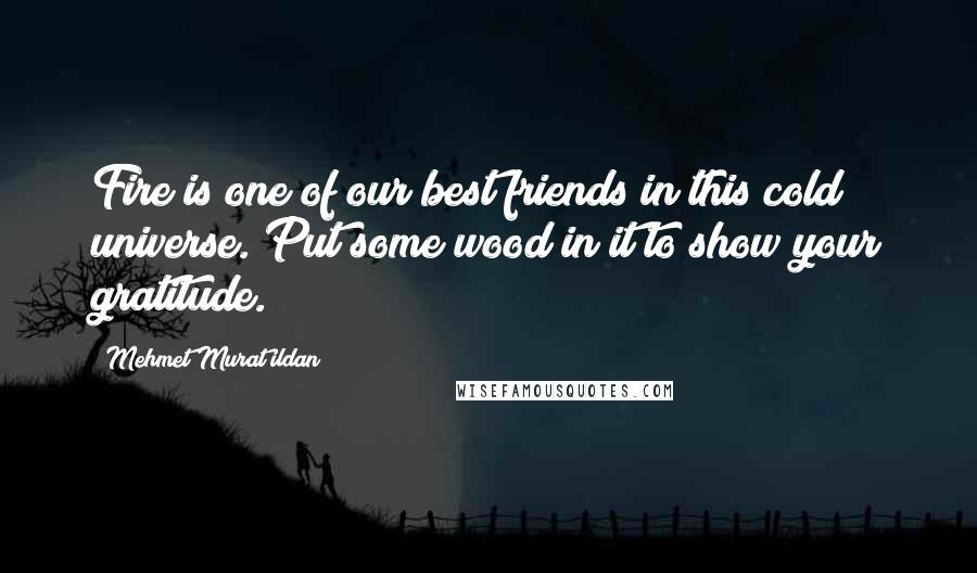 Mehmet Murat Ildan Quotes: Fire is one of our best friends in this cold universe. Put some wood in it to show your gratitude.