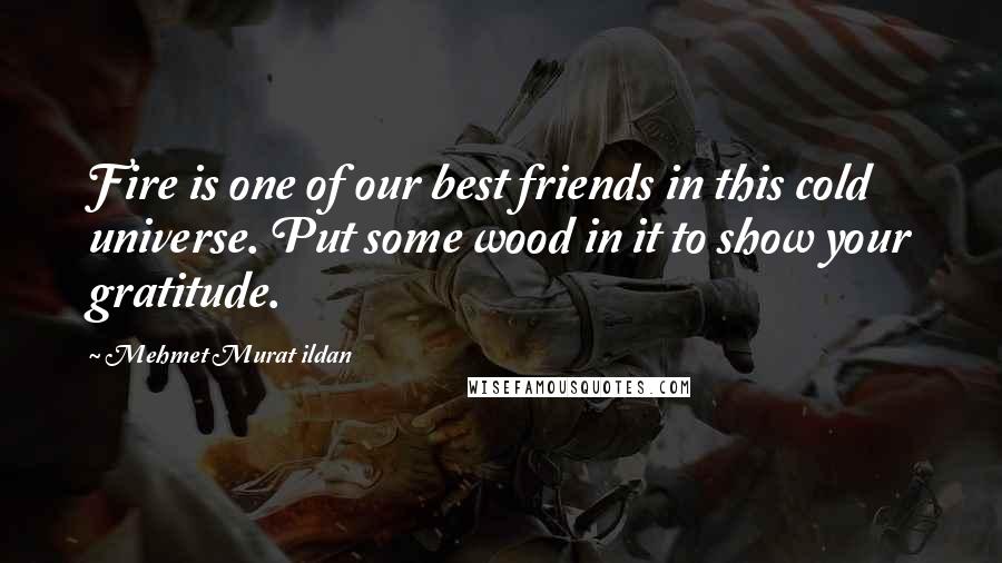 Mehmet Murat Ildan Quotes: Fire is one of our best friends in this cold universe. Put some wood in it to show your gratitude.
