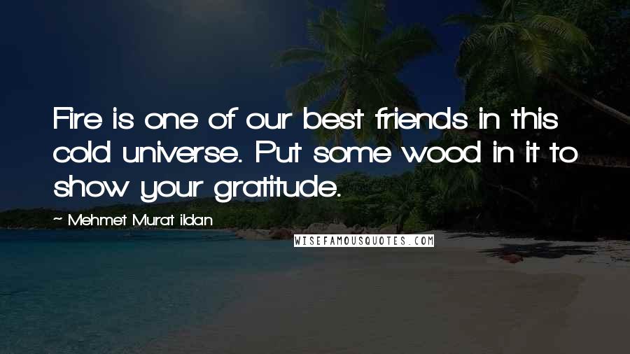 Mehmet Murat Ildan Quotes: Fire is one of our best friends in this cold universe. Put some wood in it to show your gratitude.