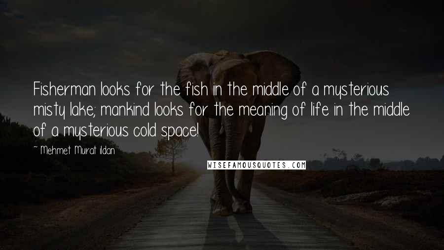 Mehmet Murat Ildan Quotes: Fisherman looks for the fish in the middle of a mysterious misty lake; mankind looks for the meaning of life in the middle of a mysterious cold space!