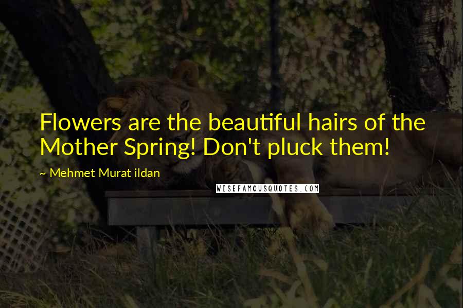 Mehmet Murat Ildan Quotes: Flowers are the beautiful hairs of the Mother Spring! Don't pluck them!
