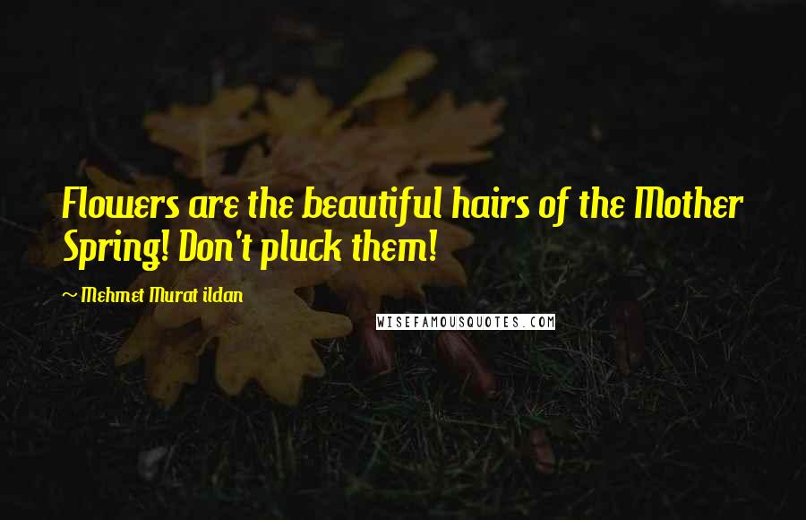 Mehmet Murat Ildan Quotes: Flowers are the beautiful hairs of the Mother Spring! Don't pluck them!