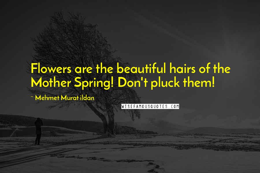 Mehmet Murat Ildan Quotes: Flowers are the beautiful hairs of the Mother Spring! Don't pluck them!