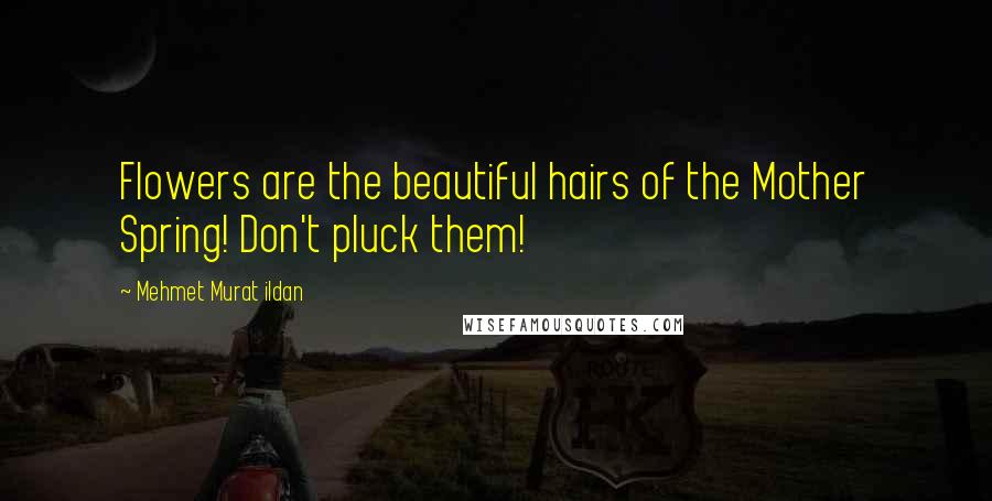 Mehmet Murat Ildan Quotes: Flowers are the beautiful hairs of the Mother Spring! Don't pluck them!