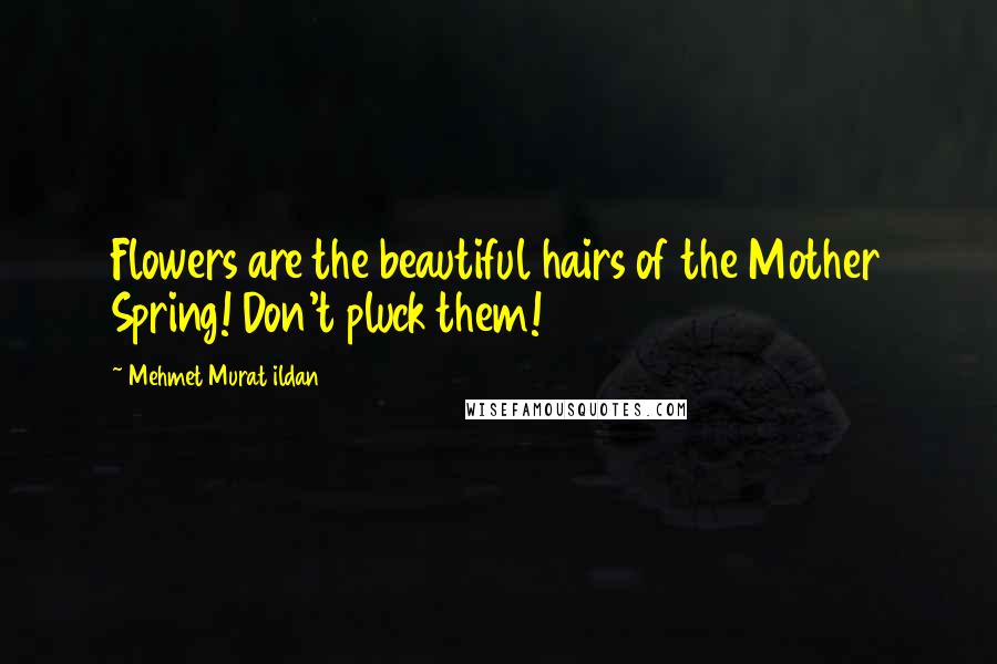 Mehmet Murat Ildan Quotes: Flowers are the beautiful hairs of the Mother Spring! Don't pluck them!