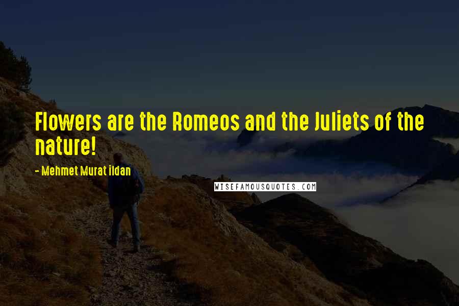 Mehmet Murat Ildan Quotes: Flowers are the Romeos and the Juliets of the nature!