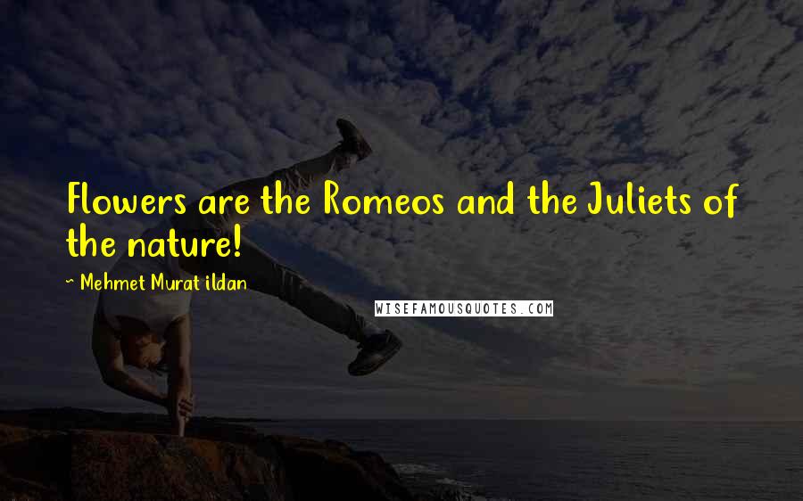 Mehmet Murat Ildan Quotes: Flowers are the Romeos and the Juliets of the nature!