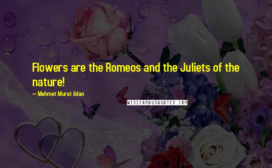Mehmet Murat Ildan Quotes: Flowers are the Romeos and the Juliets of the nature!