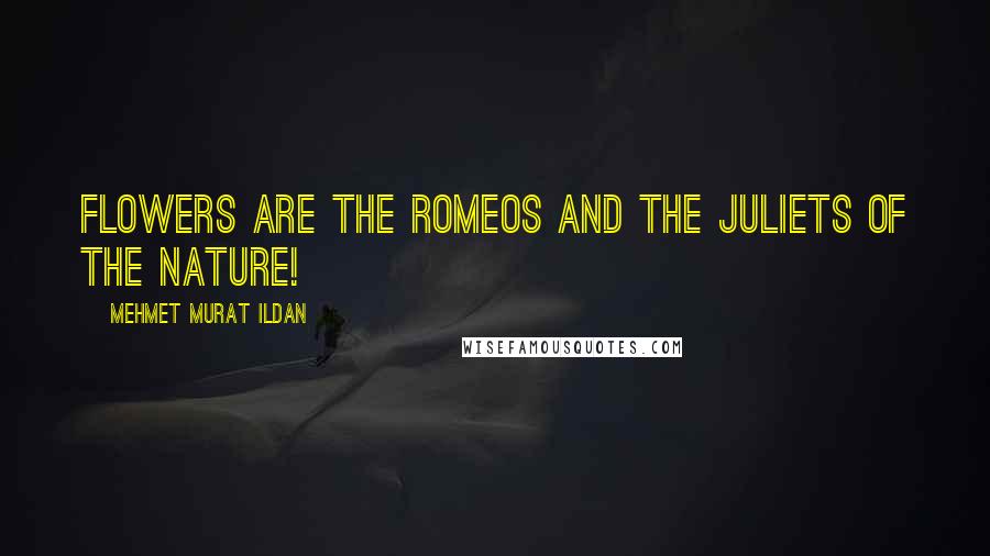 Mehmet Murat Ildan Quotes: Flowers are the Romeos and the Juliets of the nature!