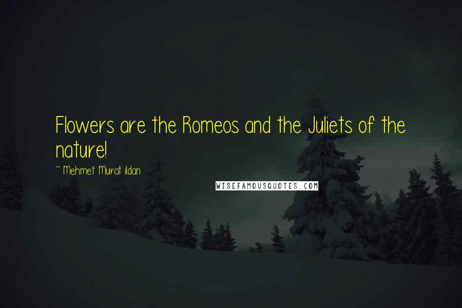 Mehmet Murat Ildan Quotes: Flowers are the Romeos and the Juliets of the nature!
