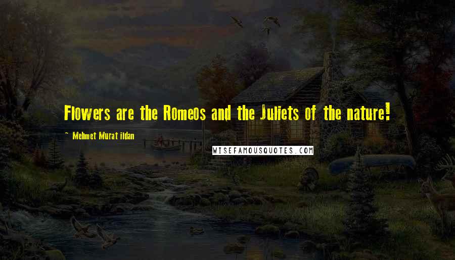 Mehmet Murat Ildan Quotes: Flowers are the Romeos and the Juliets of the nature!