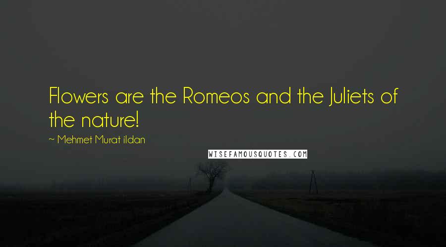 Mehmet Murat Ildan Quotes: Flowers are the Romeos and the Juliets of the nature!