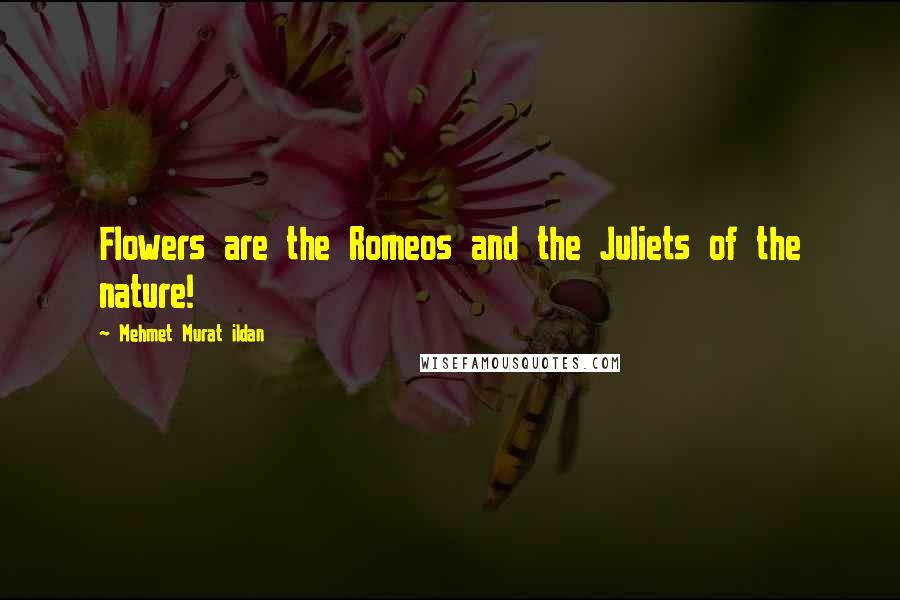 Mehmet Murat Ildan Quotes: Flowers are the Romeos and the Juliets of the nature!