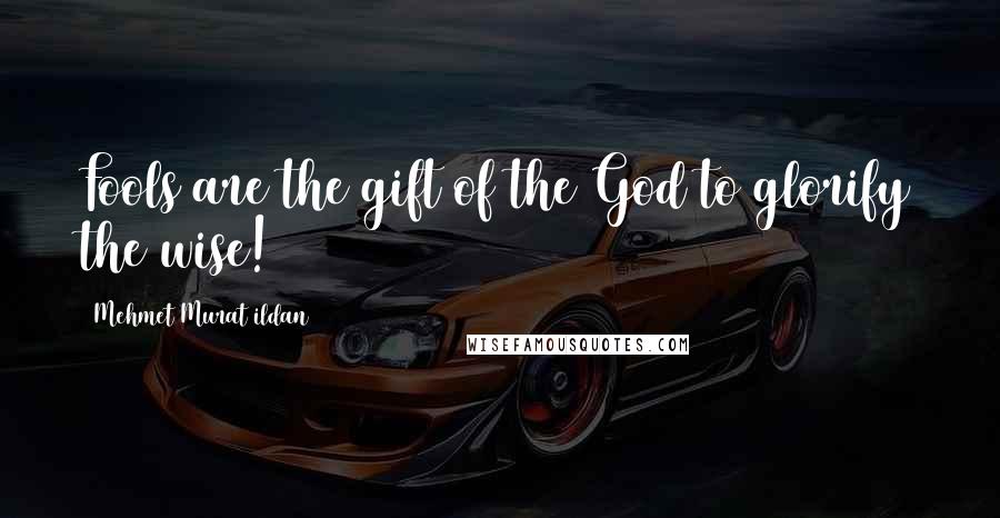 Mehmet Murat Ildan Quotes: Fools are the gift of the God to glorify the wise!