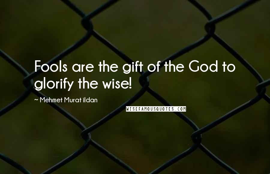 Mehmet Murat Ildan Quotes: Fools are the gift of the God to glorify the wise!