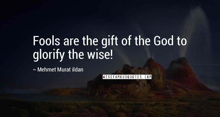 Mehmet Murat Ildan Quotes: Fools are the gift of the God to glorify the wise!