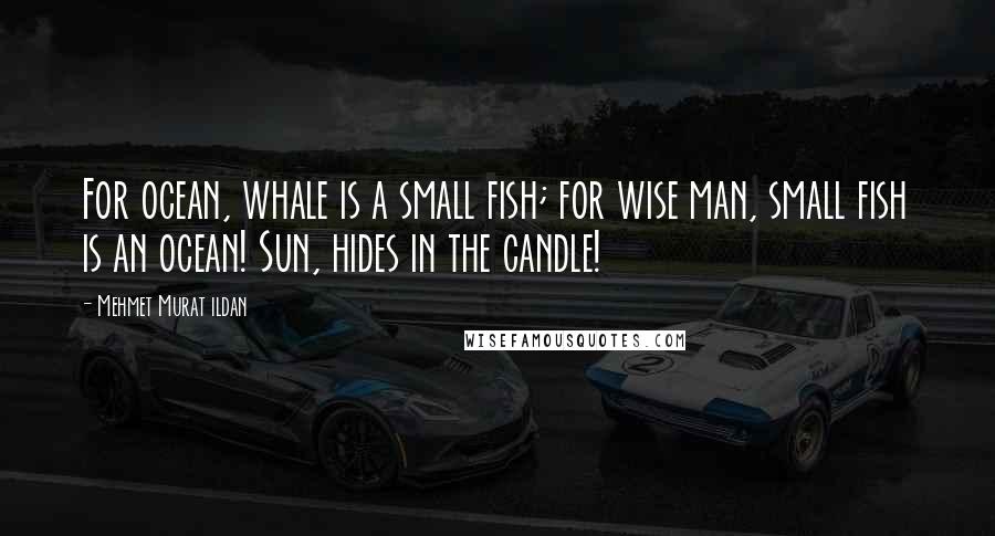 Mehmet Murat Ildan Quotes: For ocean, whale is a small fish; for wise man, small fish is an ocean! Sun, hides in the candle!