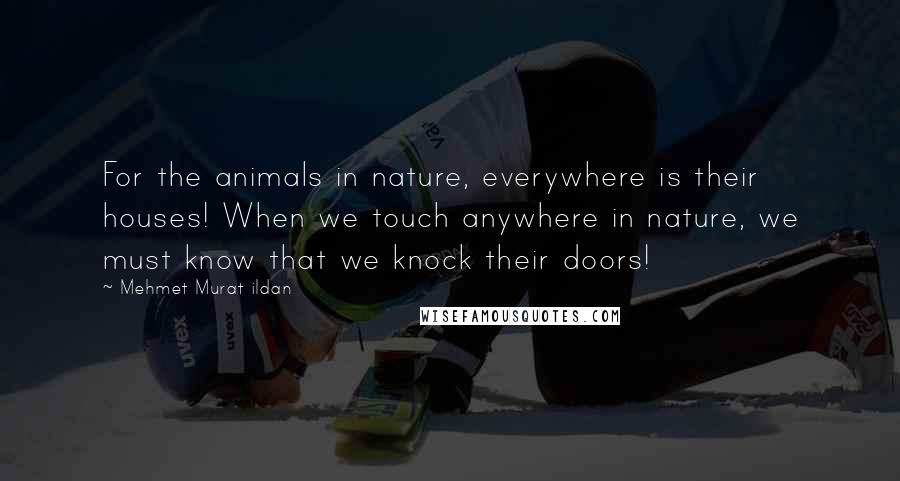 Mehmet Murat Ildan Quotes: For the animals in nature, everywhere is their houses! When we touch anywhere in nature, we must know that we knock their doors!