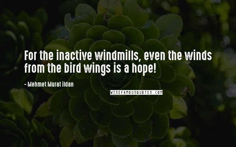Mehmet Murat Ildan Quotes: For the inactive windmills, even the winds from the bird wings is a hope!
