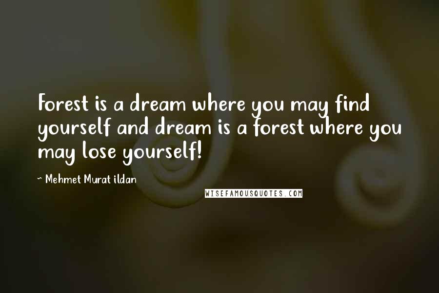 Mehmet Murat Ildan Quotes: Forest is a dream where you may find yourself and dream is a forest where you may lose yourself!