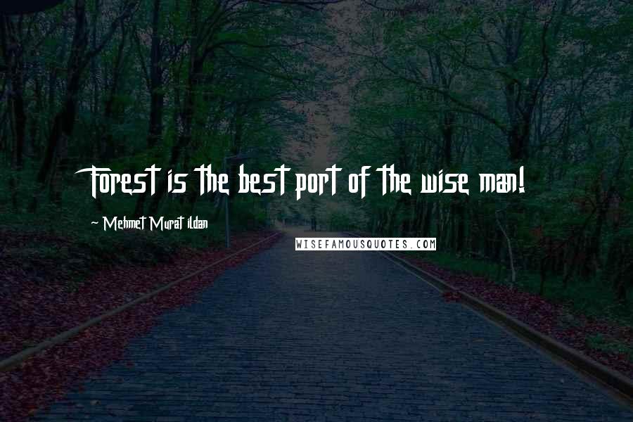 Mehmet Murat Ildan Quotes: Forest is the best port of the wise man!
