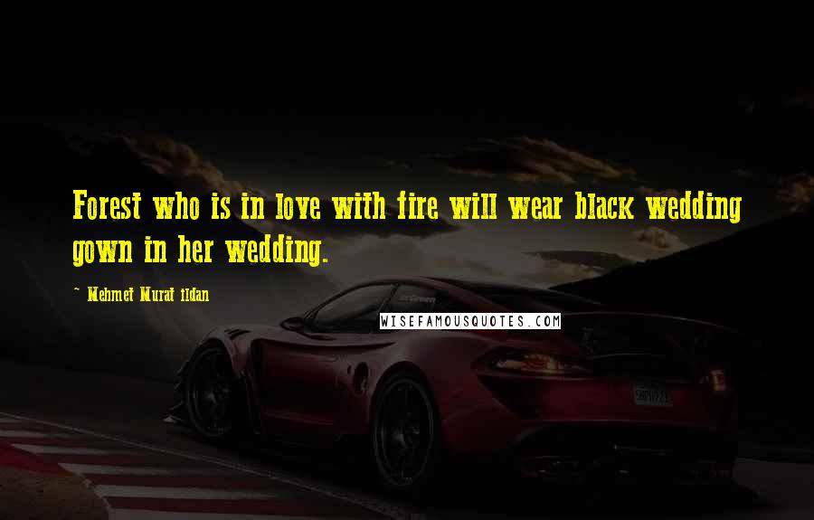 Mehmet Murat Ildan Quotes: Forest who is in love with fire will wear black wedding gown in her wedding.
