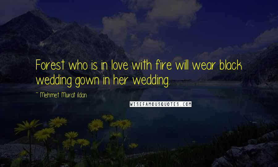 Mehmet Murat Ildan Quotes: Forest who is in love with fire will wear black wedding gown in her wedding.