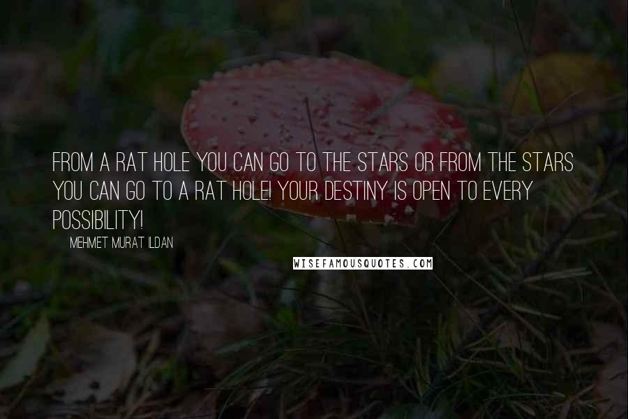 Mehmet Murat Ildan Quotes: From a rat hole you can go to the stars or from the stars you can go to a rat hole! Your destiny is open to every possibility!