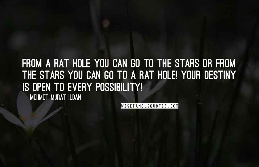 Mehmet Murat Ildan Quotes: From a rat hole you can go to the stars or from the stars you can go to a rat hole! Your destiny is open to every possibility!