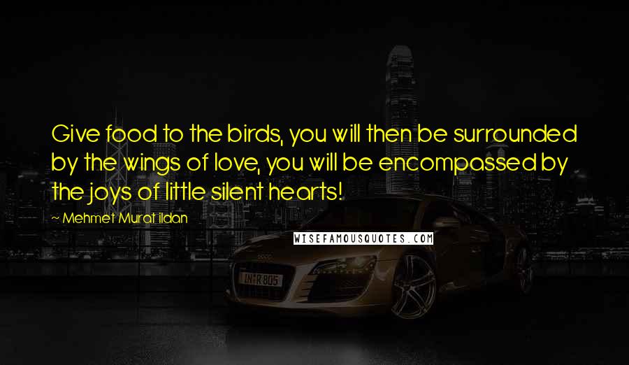 Mehmet Murat Ildan Quotes: Give food to the birds, you will then be surrounded by the wings of love, you will be encompassed by the joys of little silent hearts!