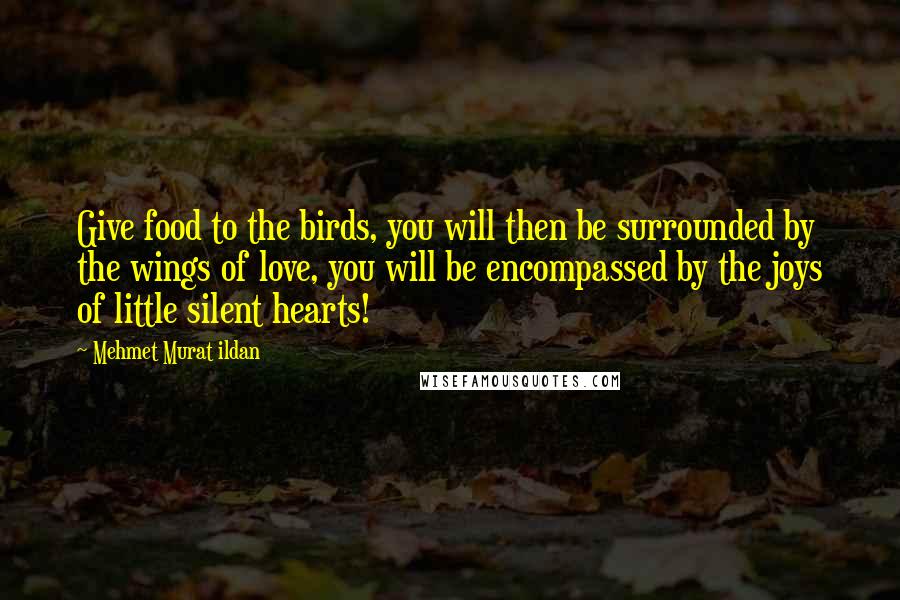 Mehmet Murat Ildan Quotes: Give food to the birds, you will then be surrounded by the wings of love, you will be encompassed by the joys of little silent hearts!