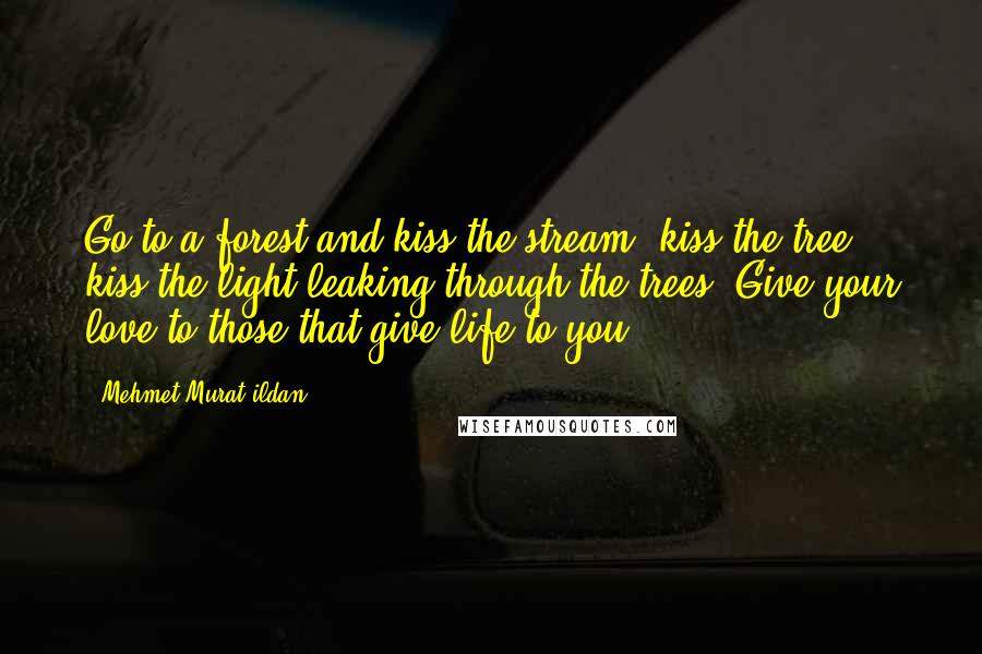 Mehmet Murat Ildan Quotes: Go to a forest and kiss the stream, kiss the tree, kiss the light leaking through the trees! Give your love to those that give life to you!