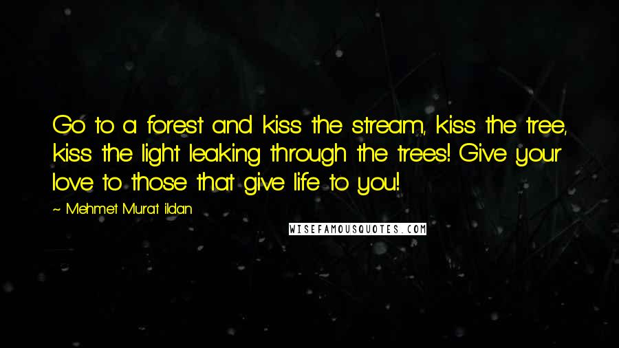 Mehmet Murat Ildan Quotes: Go to a forest and kiss the stream, kiss the tree, kiss the light leaking through the trees! Give your love to those that give life to you!