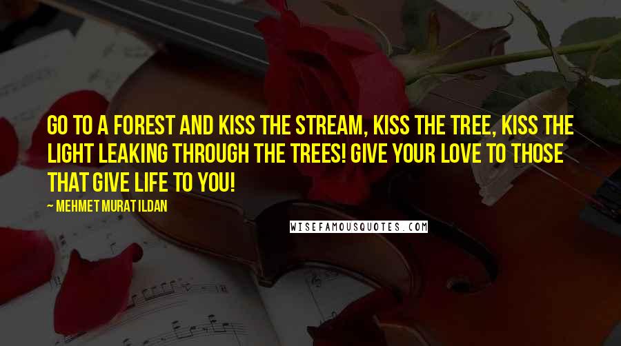 Mehmet Murat Ildan Quotes: Go to a forest and kiss the stream, kiss the tree, kiss the light leaking through the trees! Give your love to those that give life to you!