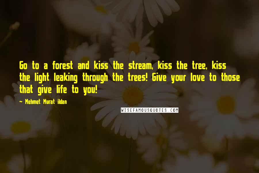 Mehmet Murat Ildan Quotes: Go to a forest and kiss the stream, kiss the tree, kiss the light leaking through the trees! Give your love to those that give life to you!