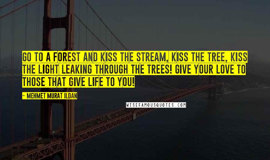 Mehmet Murat Ildan Quotes: Go to a forest and kiss the stream, kiss the tree, kiss the light leaking through the trees! Give your love to those that give life to you!