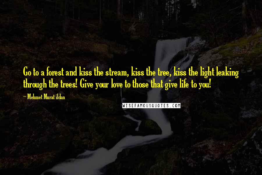 Mehmet Murat Ildan Quotes: Go to a forest and kiss the stream, kiss the tree, kiss the light leaking through the trees! Give your love to those that give life to you!