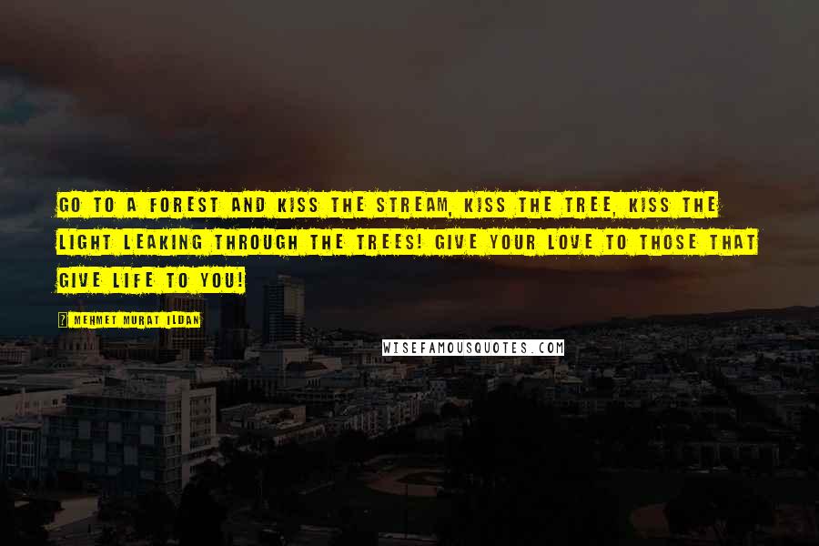 Mehmet Murat Ildan Quotes: Go to a forest and kiss the stream, kiss the tree, kiss the light leaking through the trees! Give your love to those that give life to you!