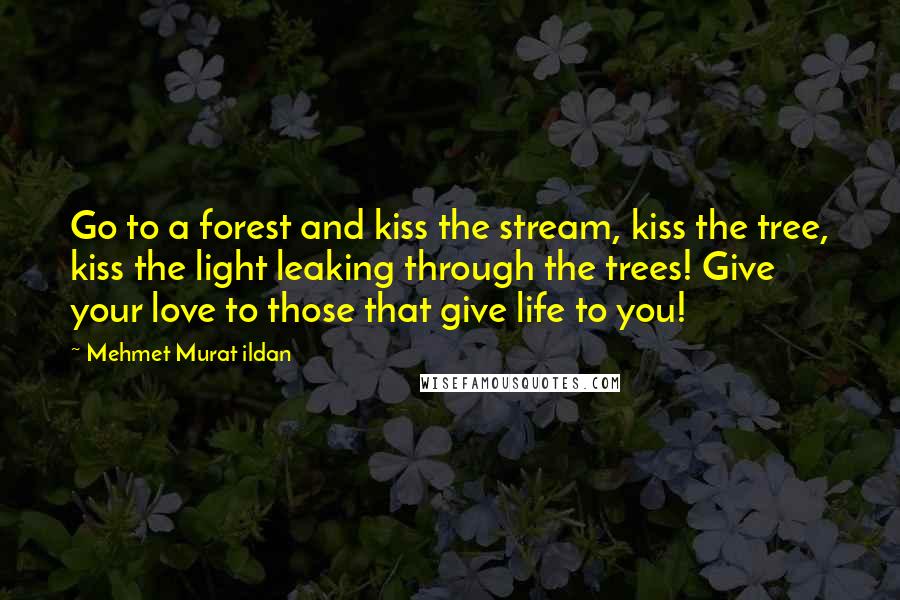 Mehmet Murat Ildan Quotes: Go to a forest and kiss the stream, kiss the tree, kiss the light leaking through the trees! Give your love to those that give life to you!