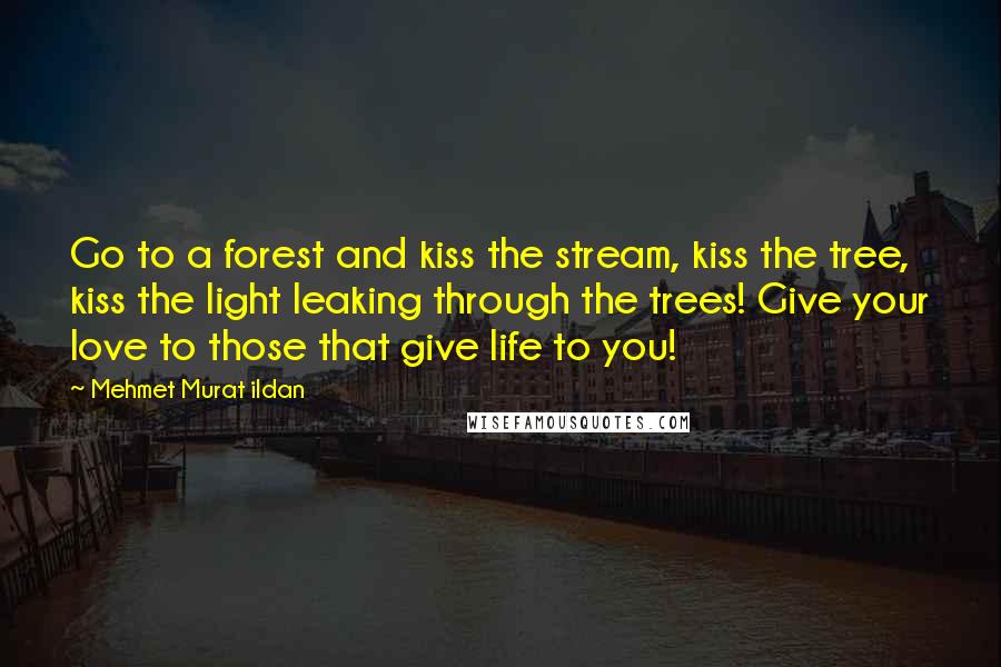 Mehmet Murat Ildan Quotes: Go to a forest and kiss the stream, kiss the tree, kiss the light leaking through the trees! Give your love to those that give life to you!