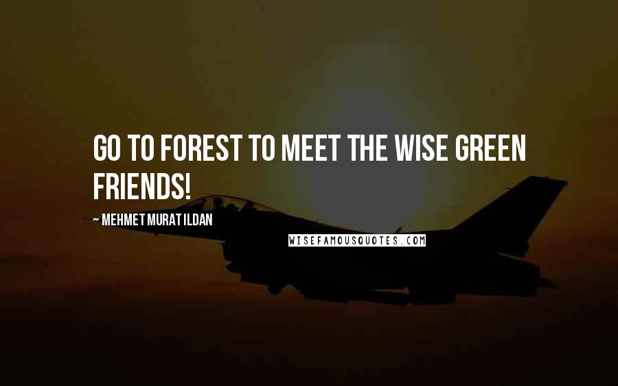 Mehmet Murat Ildan Quotes: Go to forest to meet the wise green friends!