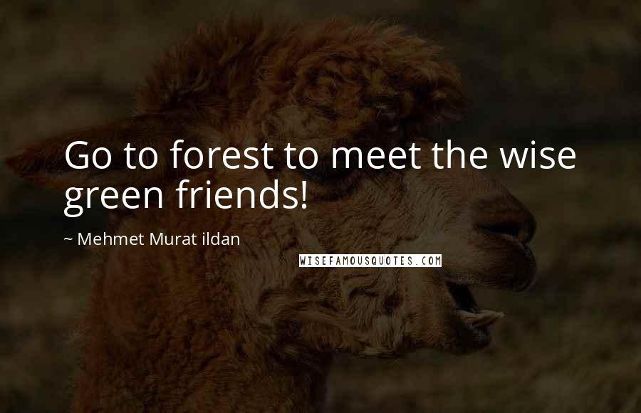 Mehmet Murat Ildan Quotes: Go to forest to meet the wise green friends!