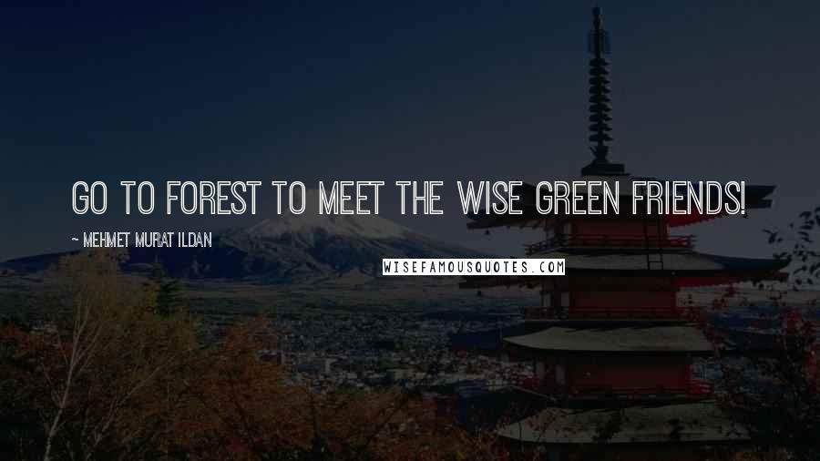 Mehmet Murat Ildan Quotes: Go to forest to meet the wise green friends!