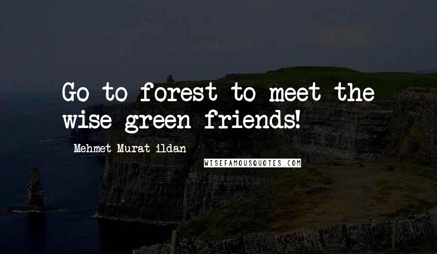 Mehmet Murat Ildan Quotes: Go to forest to meet the wise green friends!