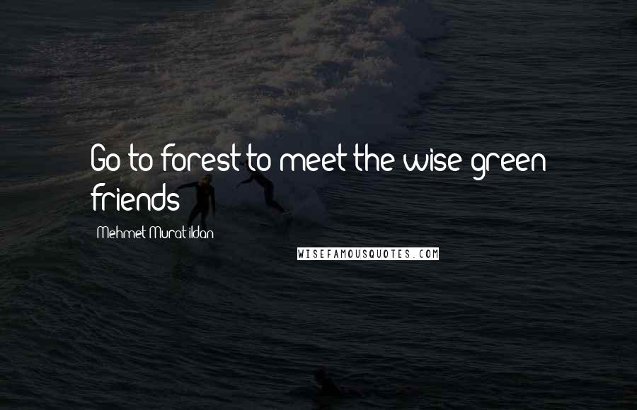 Mehmet Murat Ildan Quotes: Go to forest to meet the wise green friends!