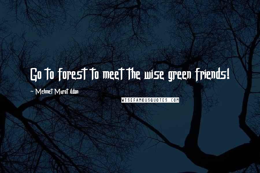 Mehmet Murat Ildan Quotes: Go to forest to meet the wise green friends!