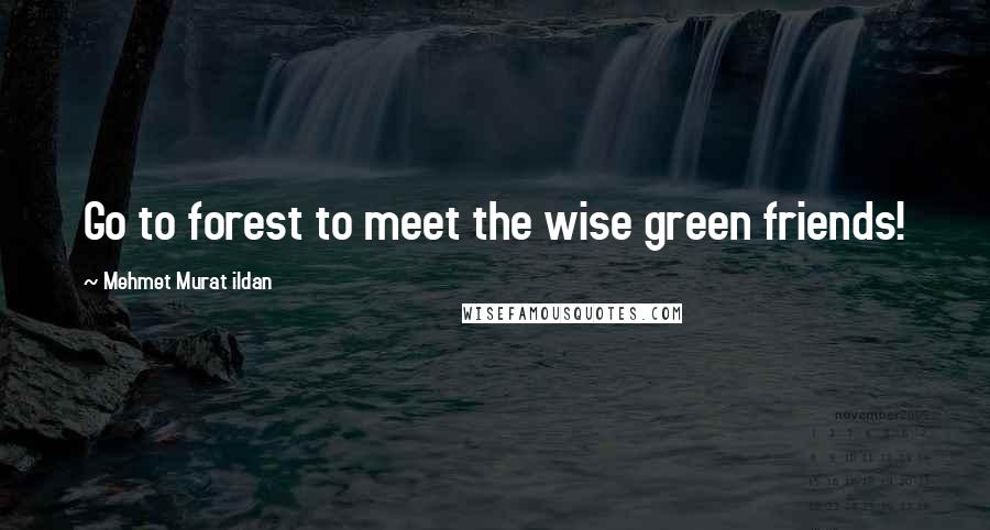 Mehmet Murat Ildan Quotes: Go to forest to meet the wise green friends!