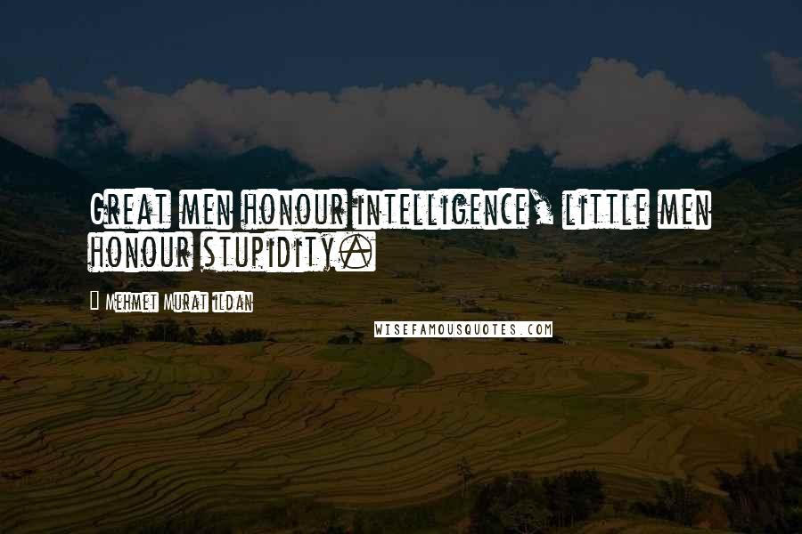 Mehmet Murat Ildan Quotes: Great men honour intelligence, little men honour stupidity.
